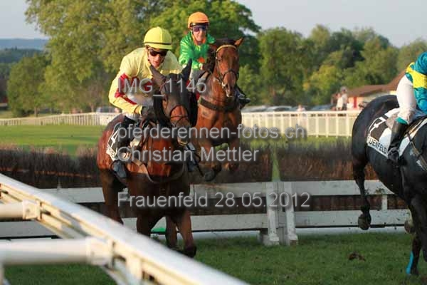 IMG 1145 prot