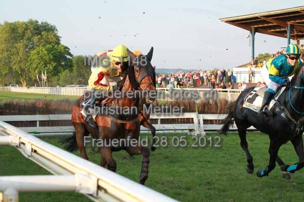 IMG 1148 prot
