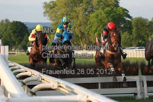 IMG 1162 prot