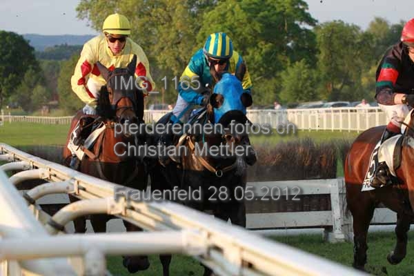 IMG 1165 prot