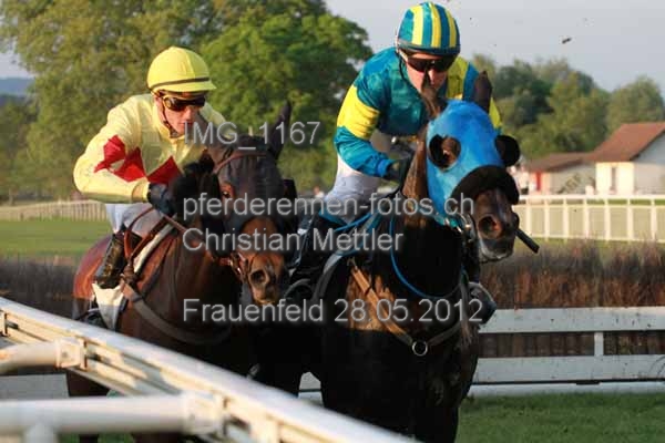 IMG 1167 prot