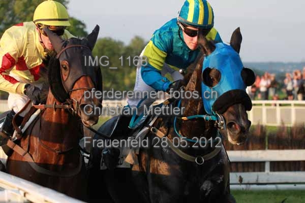 IMG 1168 prot