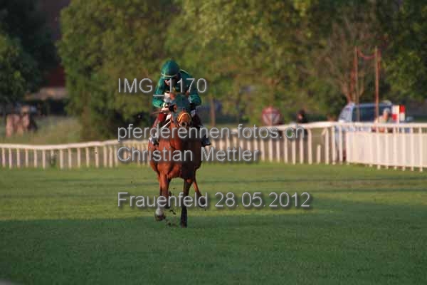 IMG 1170 prot