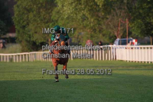 IMG 1171 prot