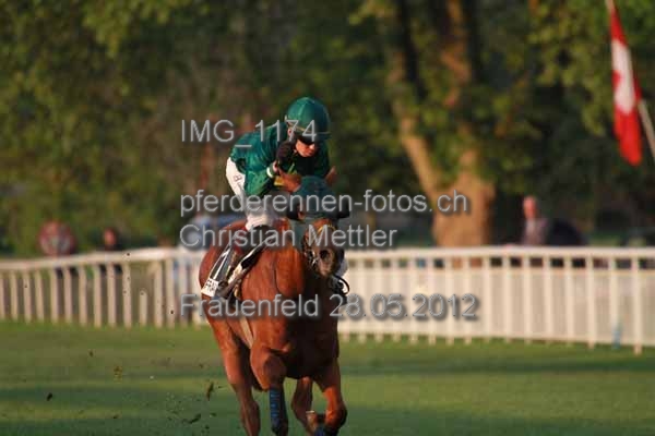 IMG 1174 prot