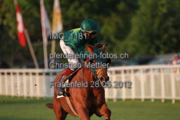 IMG 1181 prot