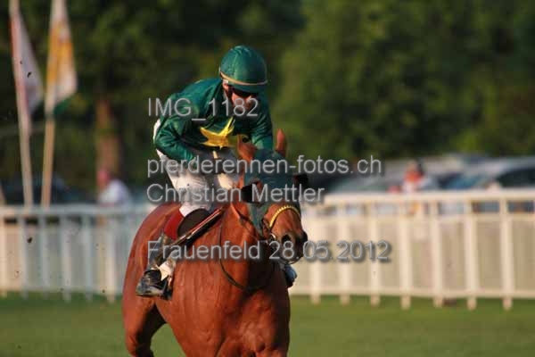 IMG 1182 prot