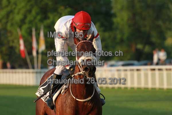 IMG 1195 prot
