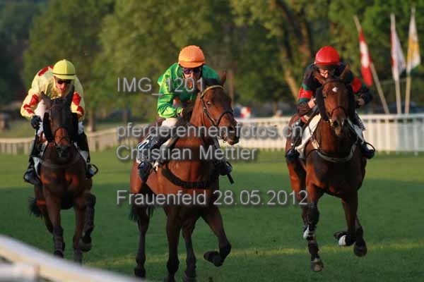 IMG 1201 prot