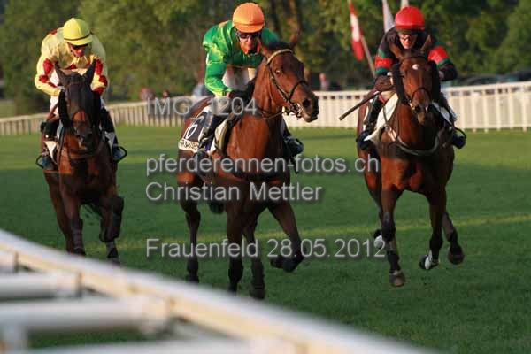 IMG 1204 prot