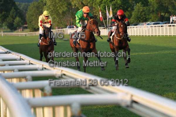 IMG 1205 prot