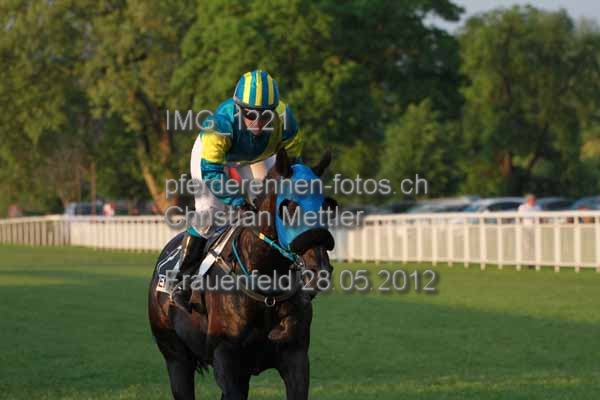 IMG 1221 prot