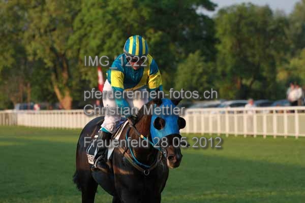 IMG 1222 prot