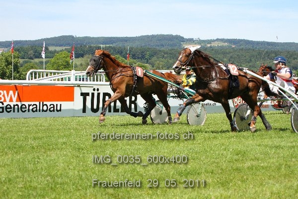 IMG 0035 600x400 prot