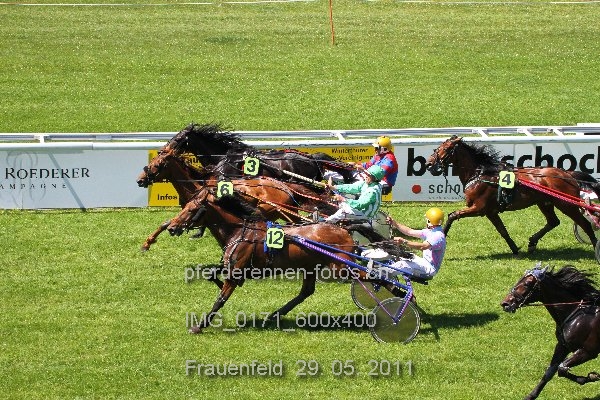 IMG 0171 600x400 prot