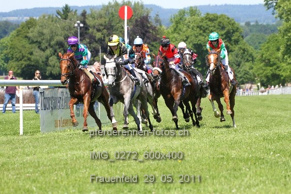 IMG 0272 600x400 prot