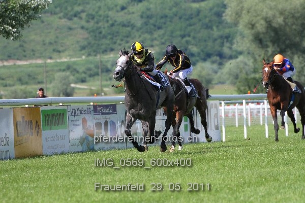 IMG 0569 600x400 prot