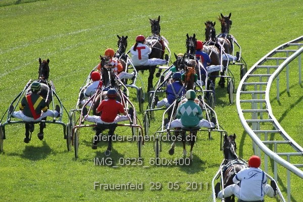 IMG 0625 600x400 prot