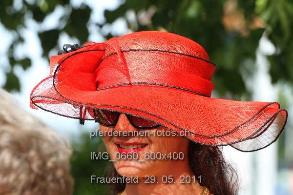 IMG 0660 600x400 prot