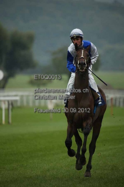 ET0Q0013 prot
