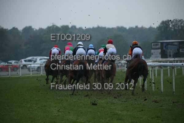 ET0Q1209 prot