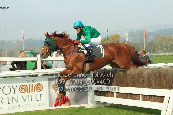 IMG 0004 600x400 prot