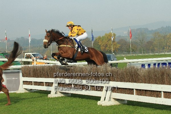 IMG 0008 600x400 prot