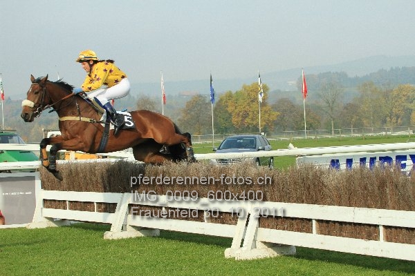 IMG 0009 600x400 prot