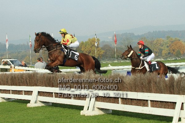 IMG 0013 600x400 prot