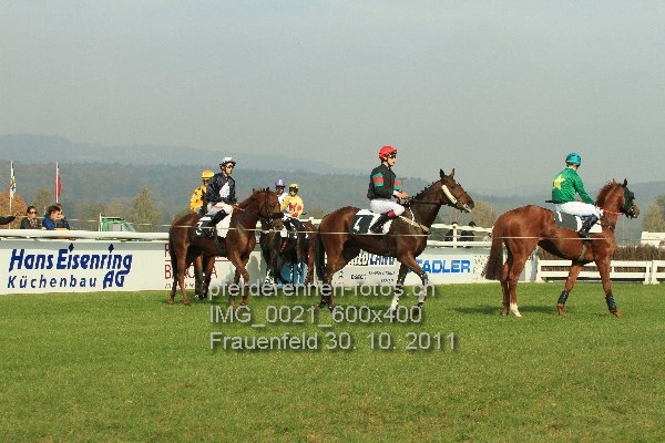 IMG 0021 600x400 prot