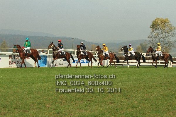 IMG 0024 600x400 prot