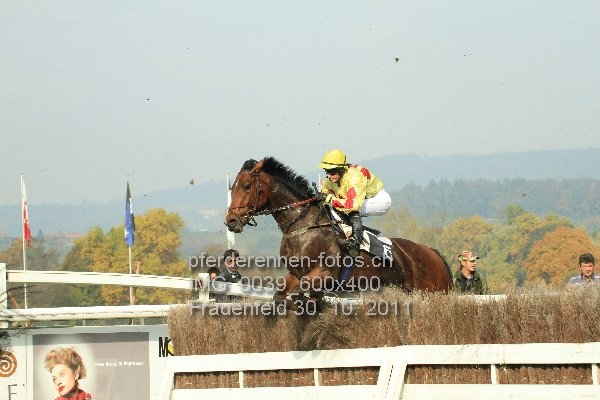 IMG 0039 600x400 prot