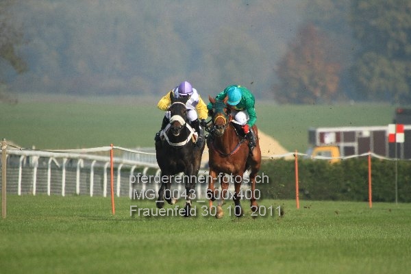 IMG 0043 600x400 prot