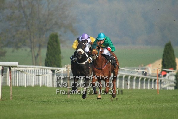 IMG 0045 600x400 prot
