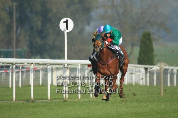 IMG 0048 600x400 prot