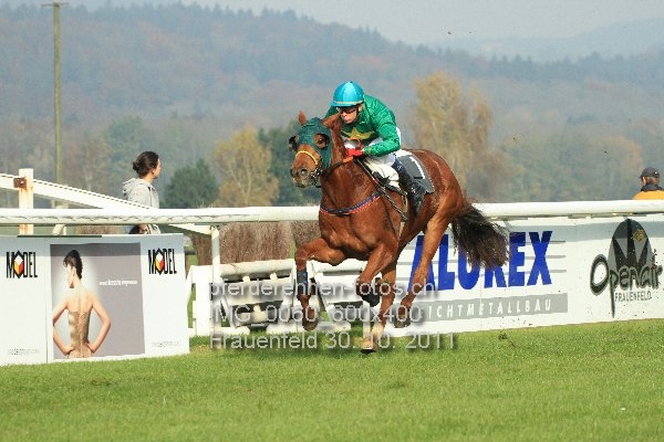 IMG 0060 600x400 prot
