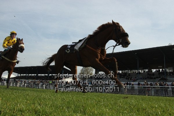 IMG 0075.1 600x400 prot