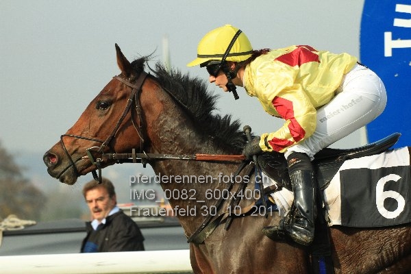 IMG 0082 600x400 prot