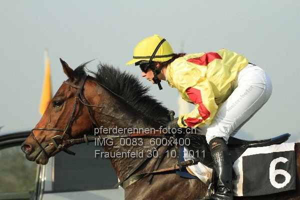 IMG 0083 600x400 prot