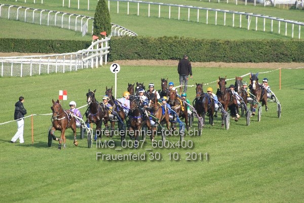IMG 0097 600x400 prot