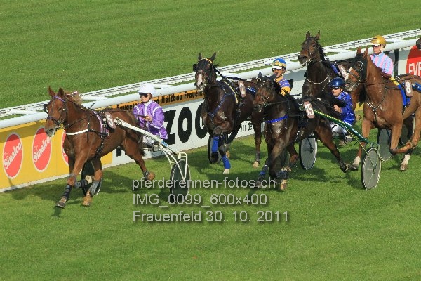 IMG 0099 600x400 prot