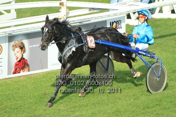 IMG 0102 600x400 prot