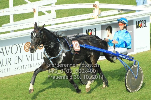 IMG 0103 600x400 prot