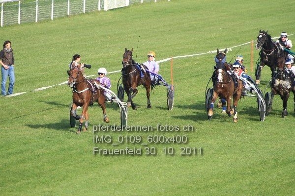 IMG 0109 600x400 prot