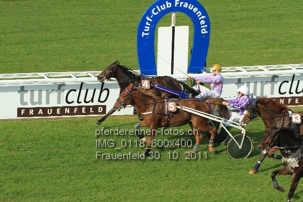 IMG 0118 600x400 prot