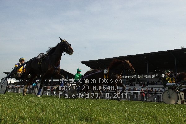 IMG 0120 600x400 prot