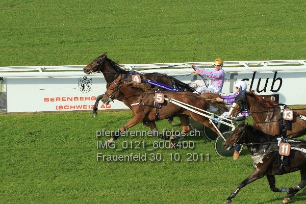 IMG 0121 600x400 prot