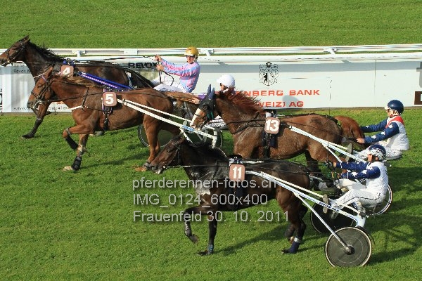 IMG 0124 600x400 prot