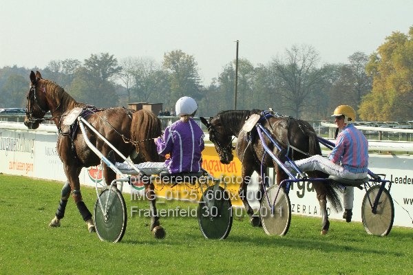 IMG 0125 600x400 prot