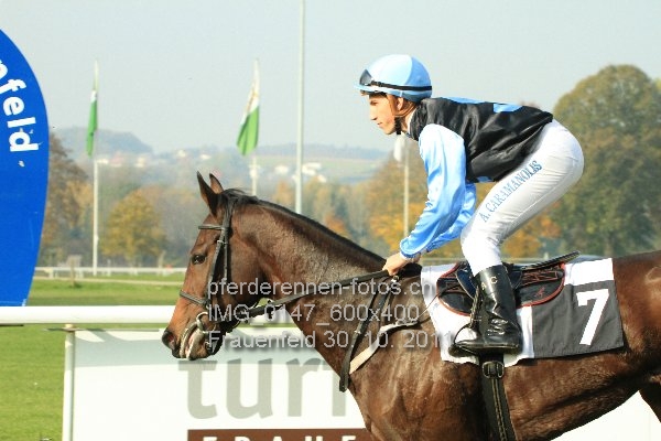 IMG 0147 600x400 prot